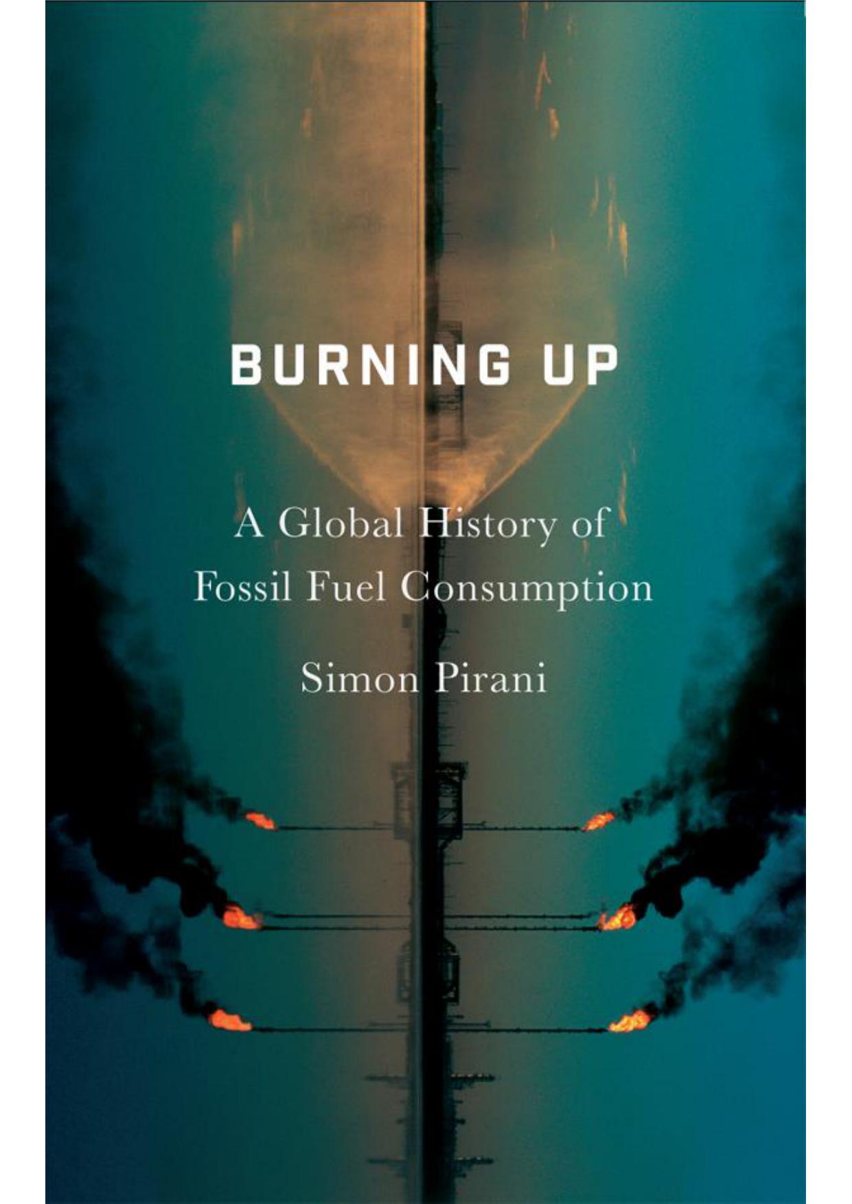 Burning Up: A Global History of Fossil Fuel Consumption ISBN 978 1 7868 0312 2